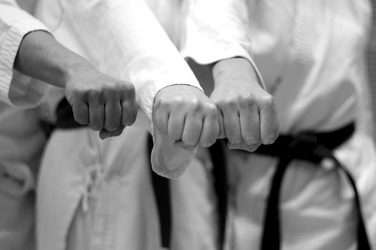 karate-7844492_1280 karate-7844492_1280