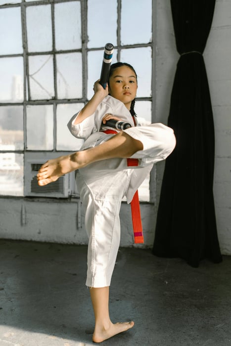 roundhouse kick