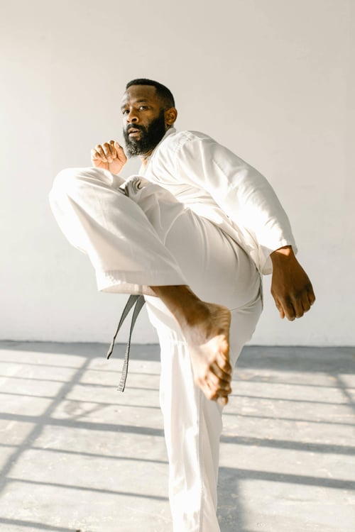 roundhouse kick